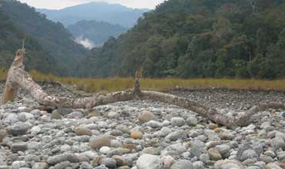 Arunachal Pradesh